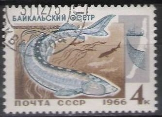 z vendido Rusia URSS 1966 Scott 3241 Sello º Peces Esturion Timbre Esturgeon Russie Russia usado utilisé 